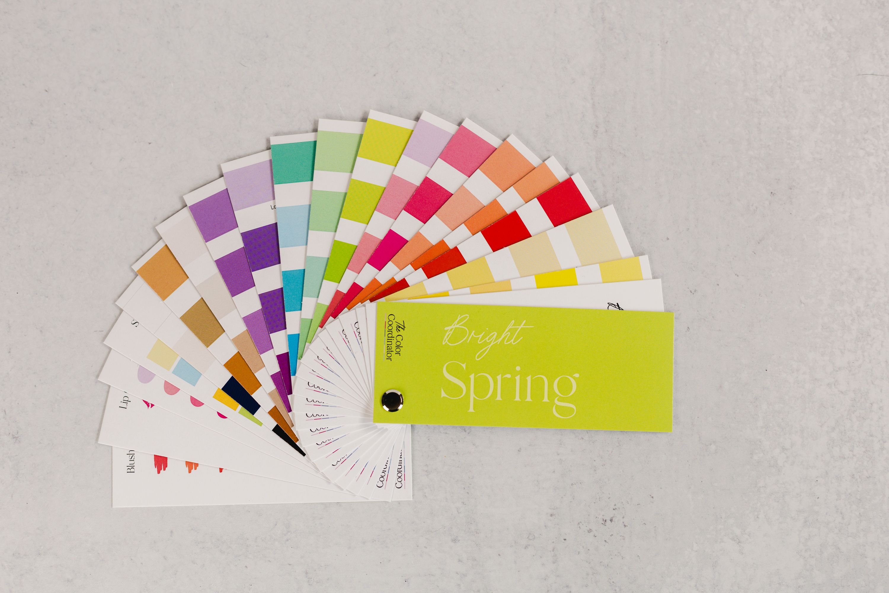 Bright Spring Swatch Book