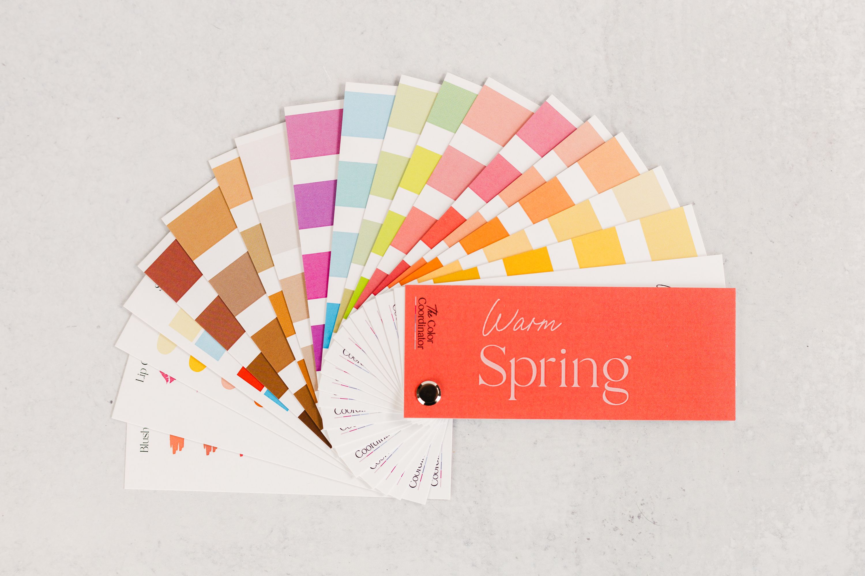 Warm Spring Swatch Book