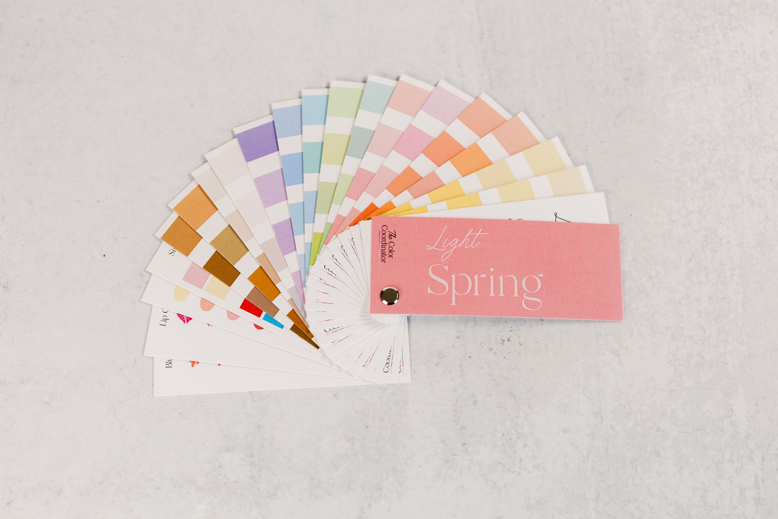Light Spring Swatch Book