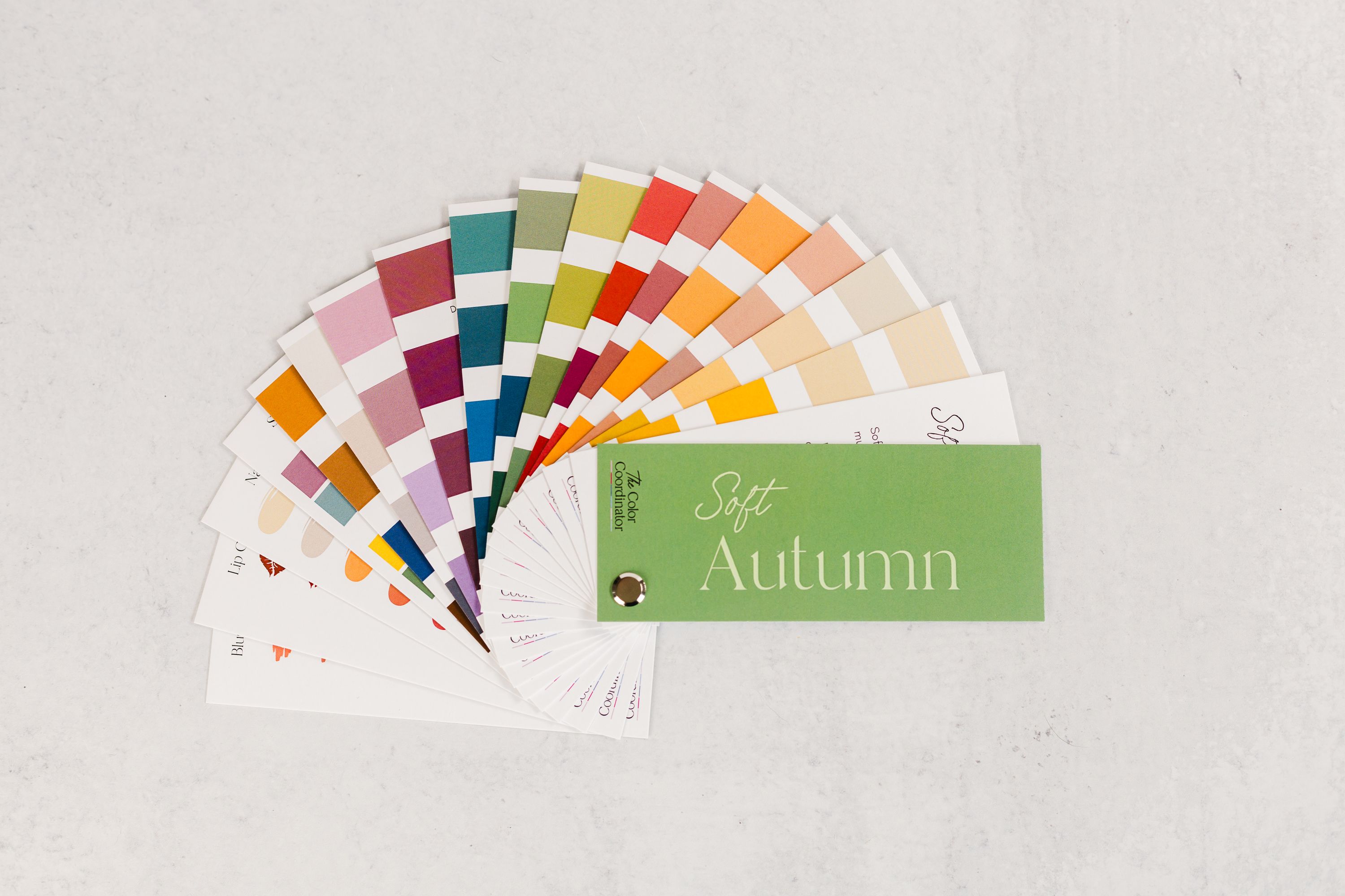 Soft Autumn Swatch Book