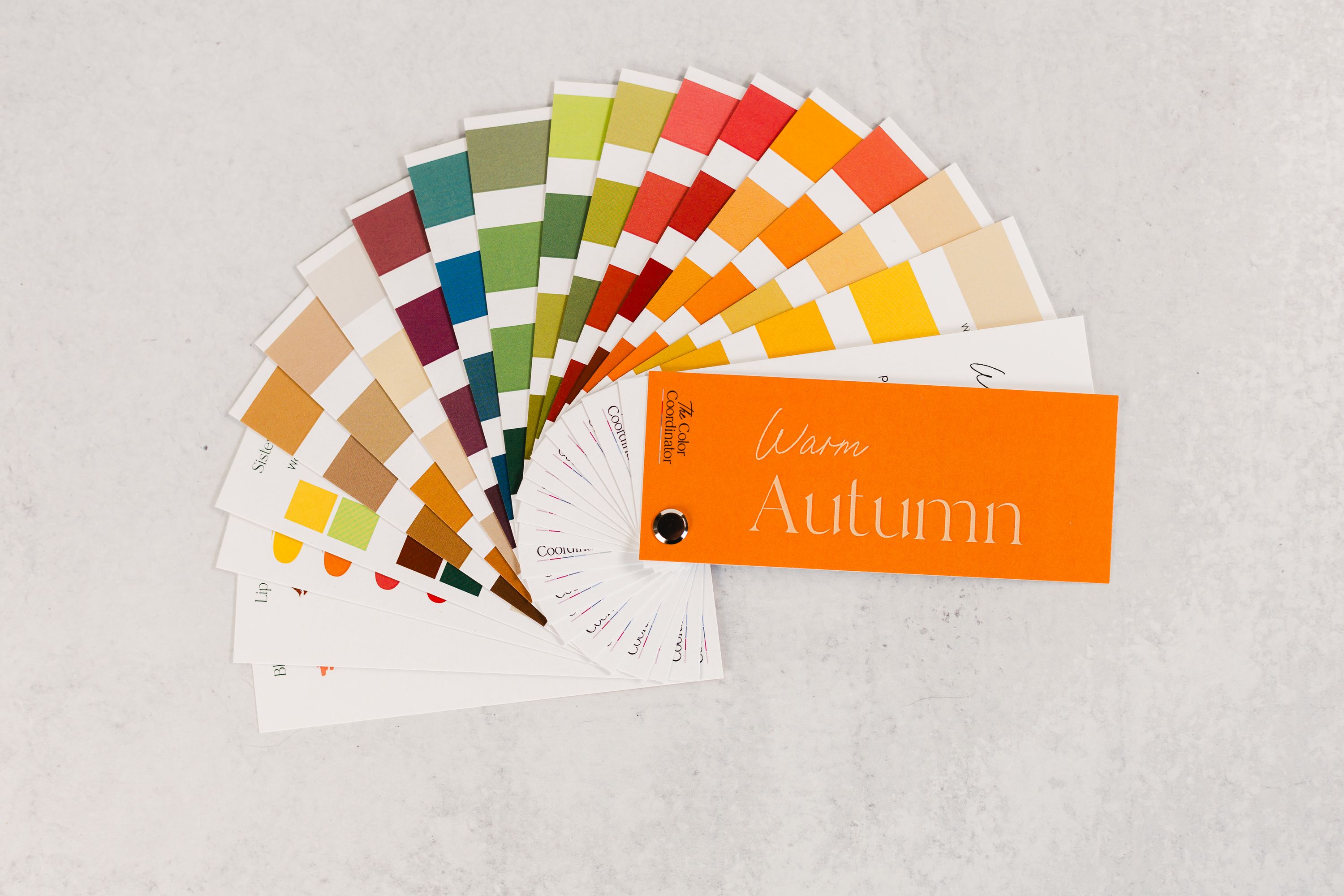 Warm Autumn Swatch Book
