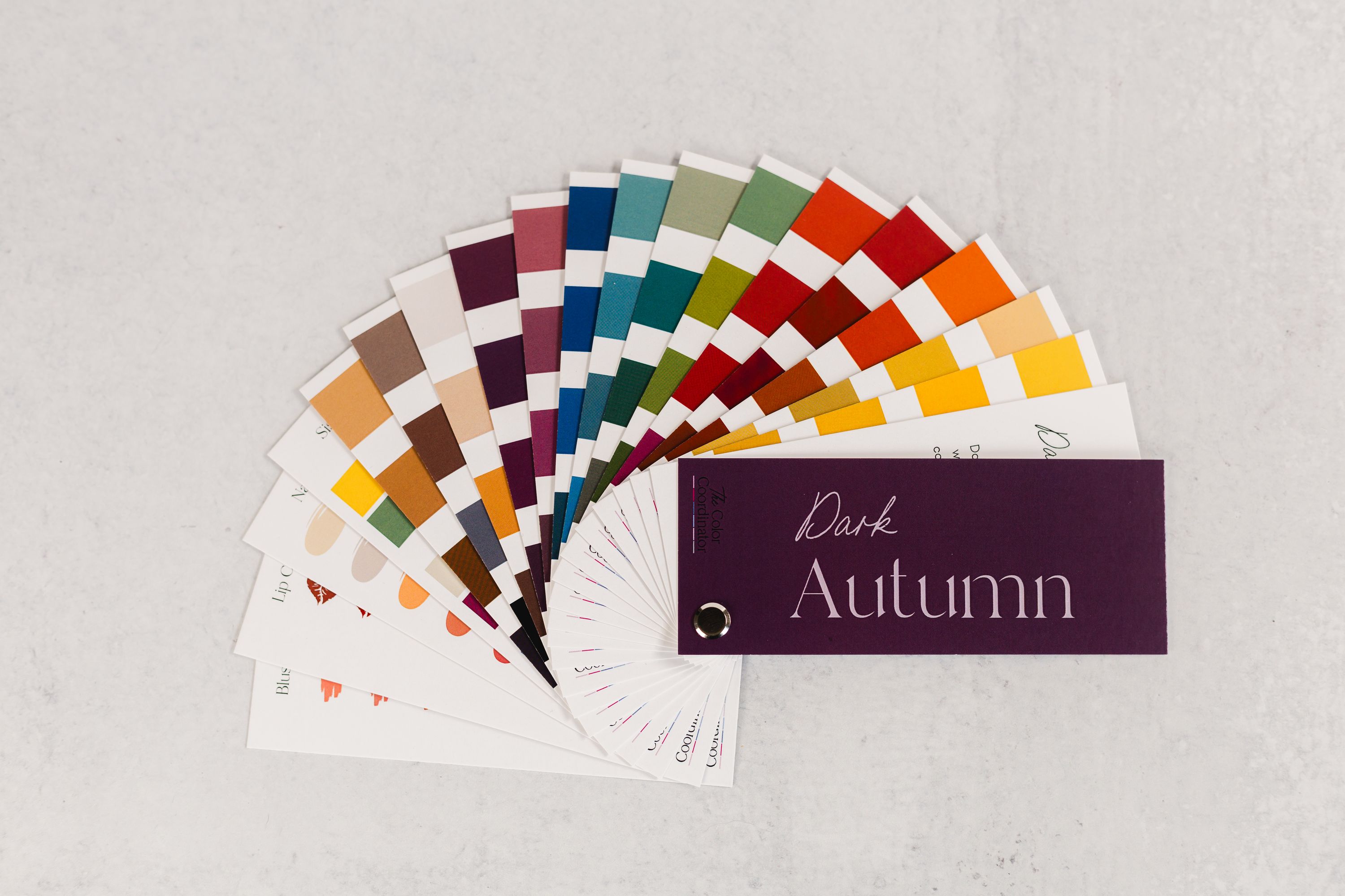 Dark Autumn Swatch Book