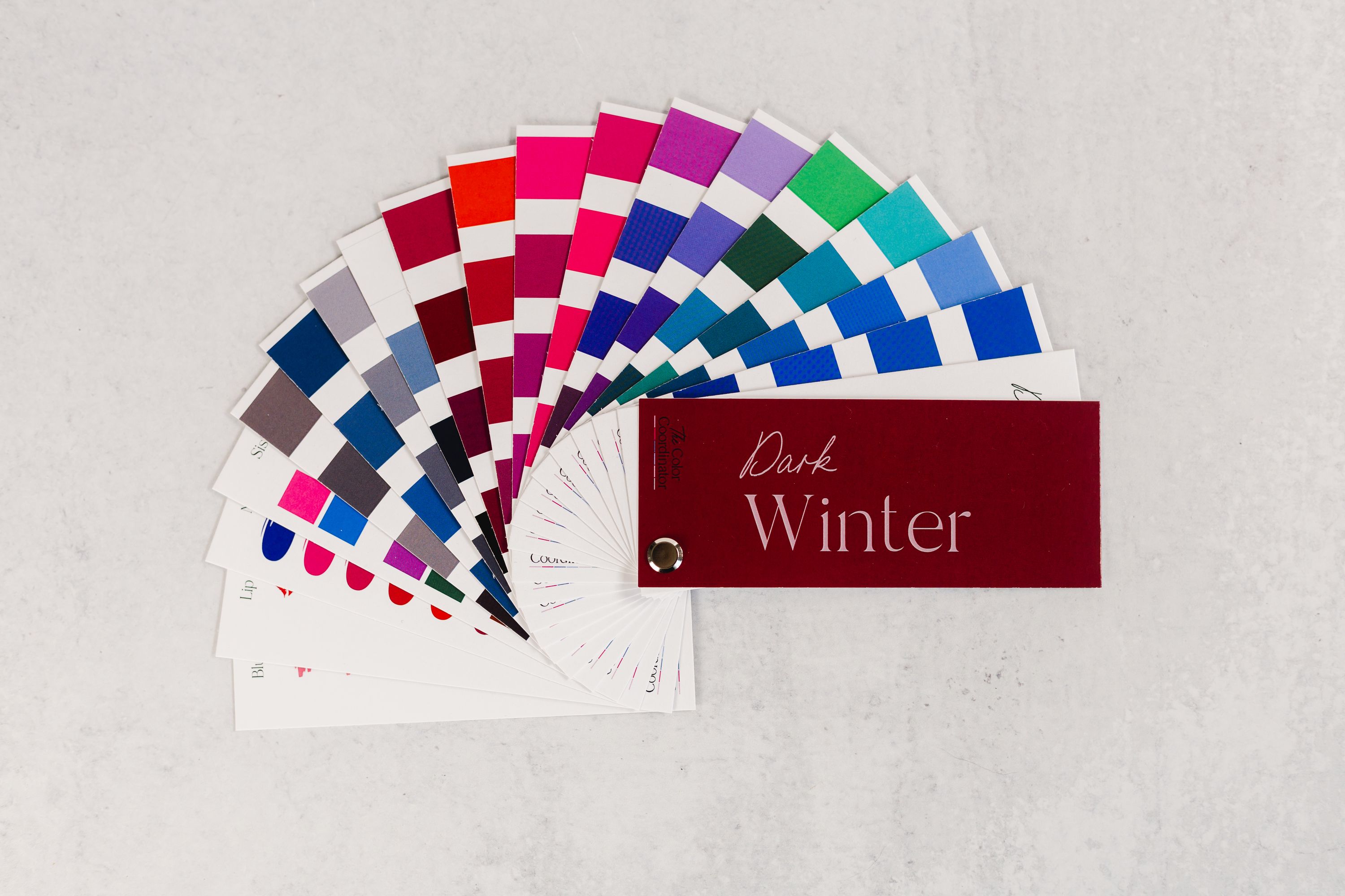 Dark Winter Swatch Book