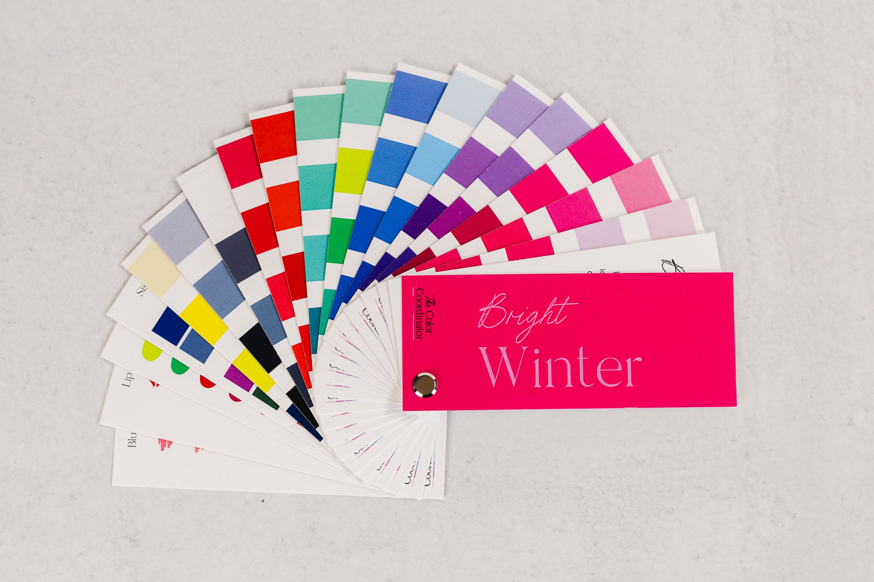 Bright Winter Swatch Book